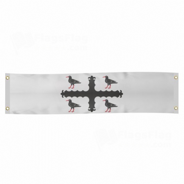 Flintshire Poster Banner