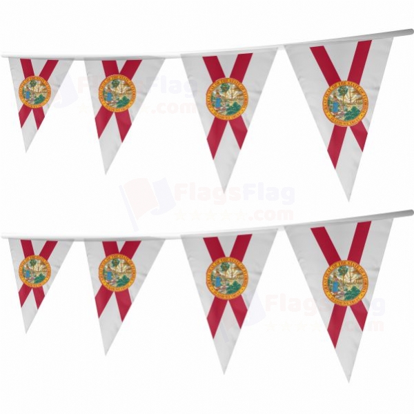 Florida Stringed Triangle Flag