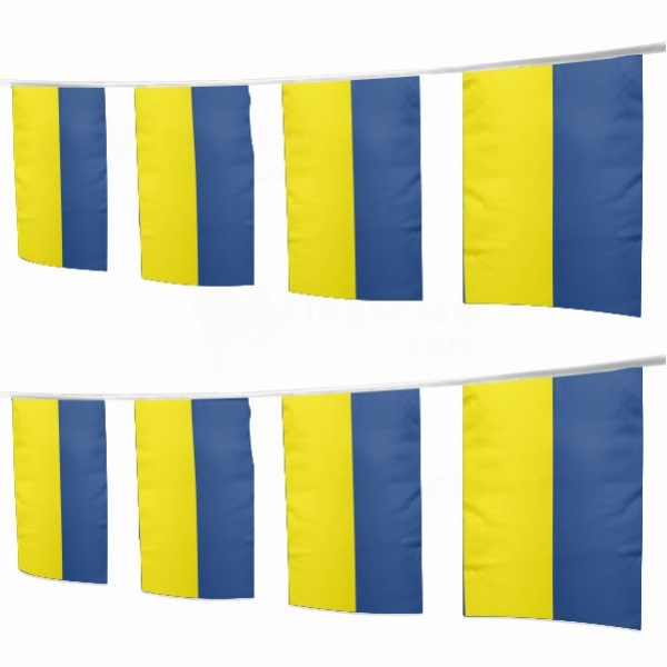 Free State Of Brunswick Square String Flags
