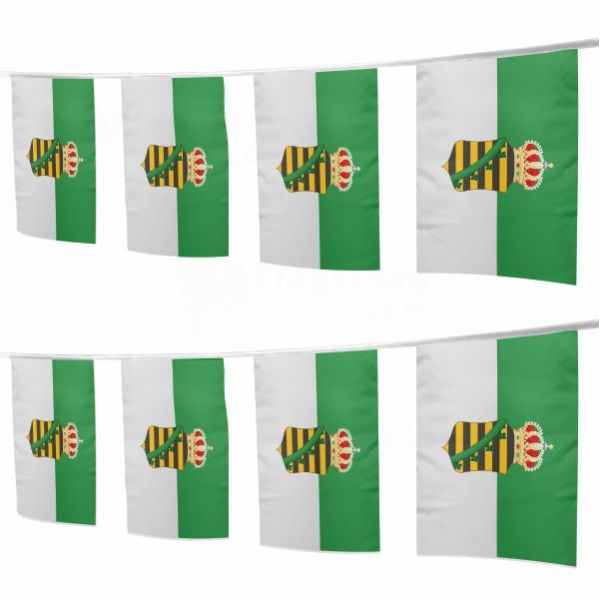 Free State Of Saxe Altenburg Square String Flags