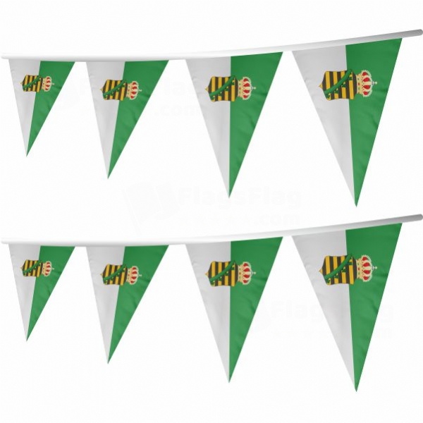 Free State Of Saxe Altenburg Stringed Triangle Flag