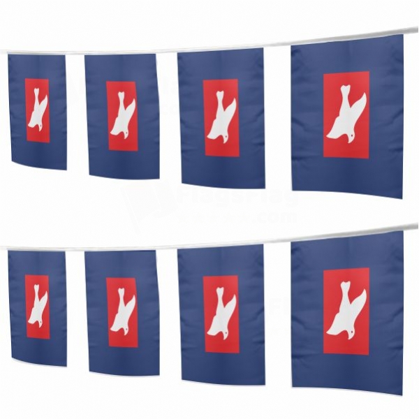 Freedomland Square String Flags