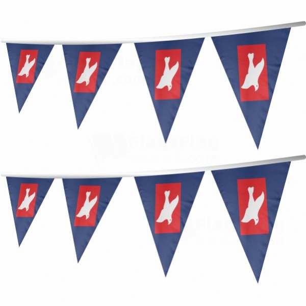Freedomland Stringed Triangle Flag