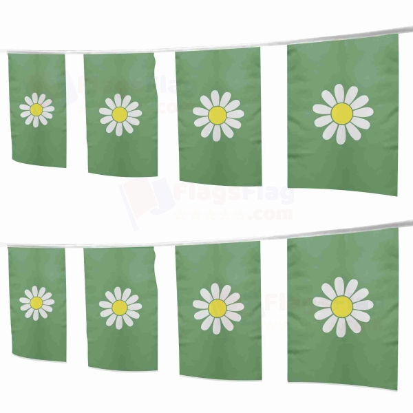 Frestonia Square String Flags