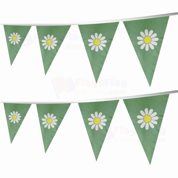 Frestonia Stringed Triangle Flag