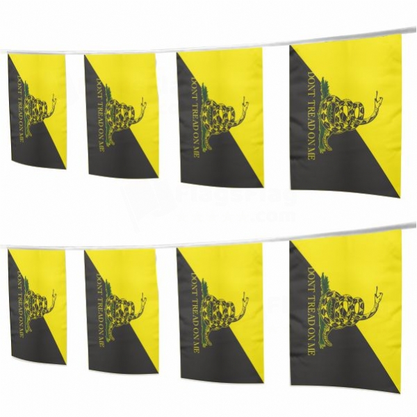 Gadscap Square String Flags