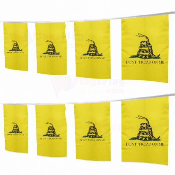 Gadsden Square String Flags