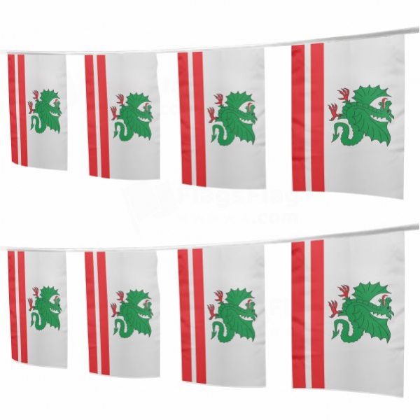 Garwolinski Square String Flags