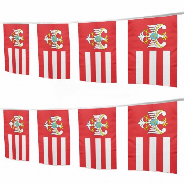 Gnieznienski Square String Flags