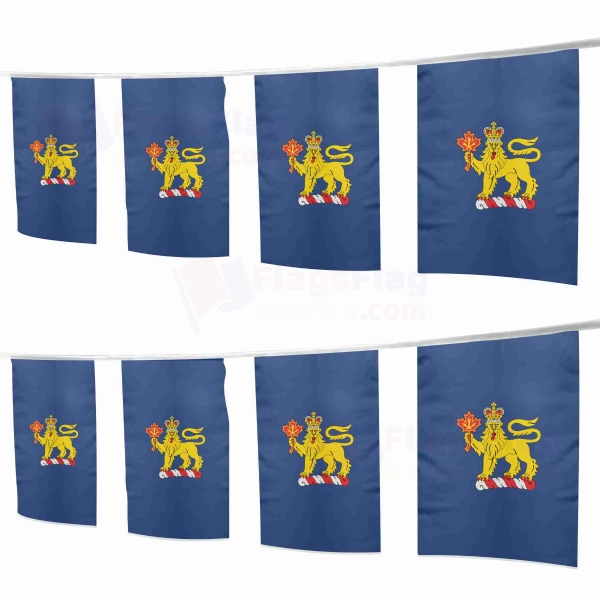 Governor General Of Canada Square String Flags