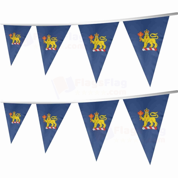 Governor General Of Canada Stringed Triangle Flag
