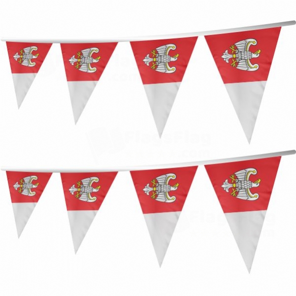 Greater Poland Voivodeship Stringed Triangle Flag