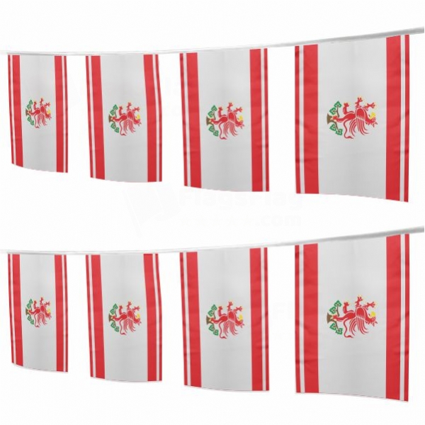 Greifswald Square String Flags