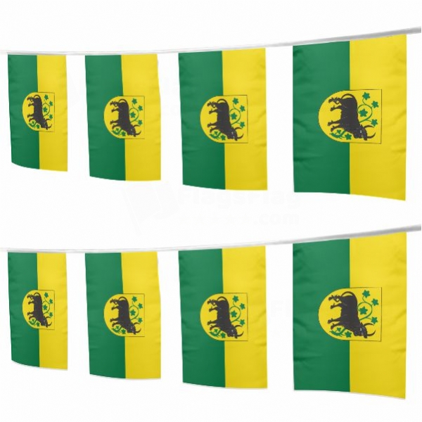 G�strow Square String Flags