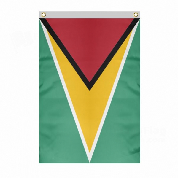 Guyana Large Size Flag Hanging on Building