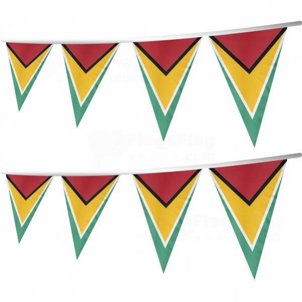 Guyana Stringed Triangle Flag