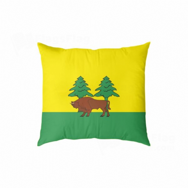 Hajnowka Digital Printed Pillow Cover
