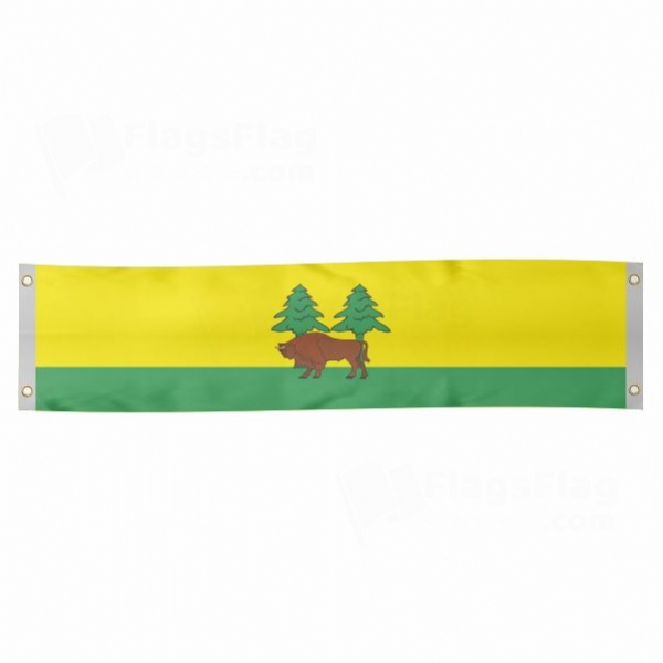 Hajnowka Poster Banner
