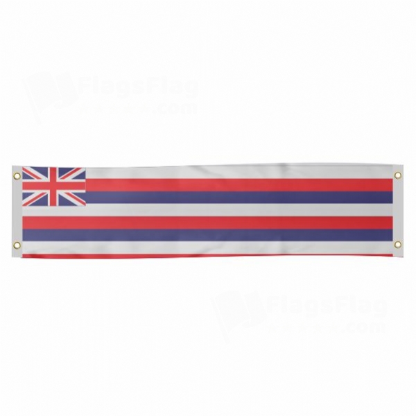 Hawaii Poster Banner