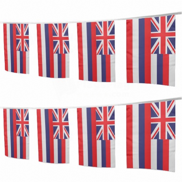 Hawaii Square String Flags