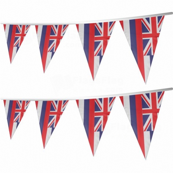 Hawaii Stringed Triangle Flag