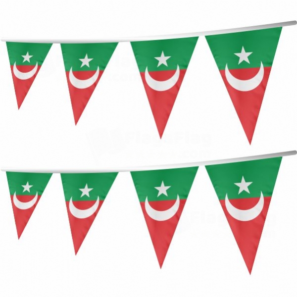 Haydarabad Stringed Triangle Flag
