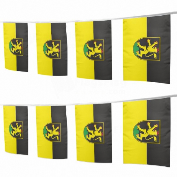 Heidelberg Square String Flags