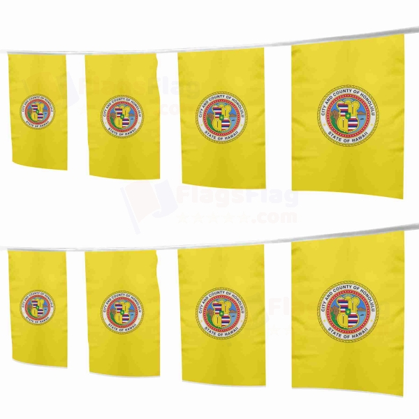 Honolulu Hawaii Square String Flags
