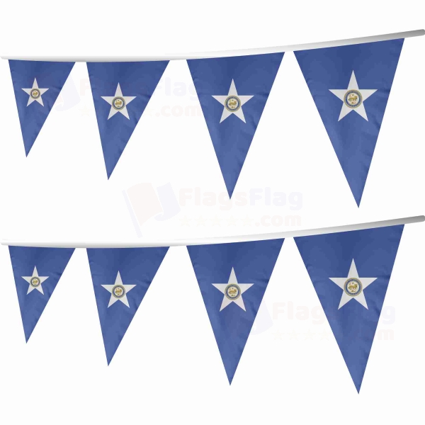 Houston Stringed Triangle Flag