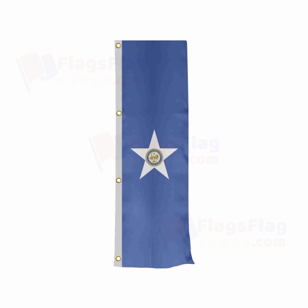 Houston Vertically Raised Flags