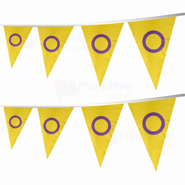Intersex Pride Stringed Triangle Flag