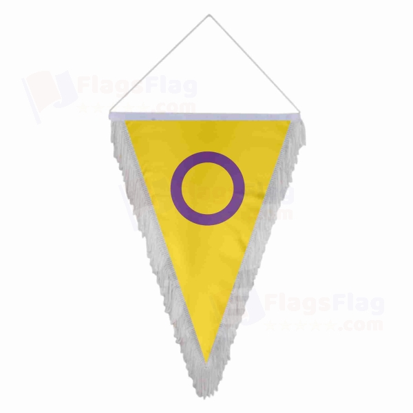 Intersex Pride Triangle Fringed Streamers