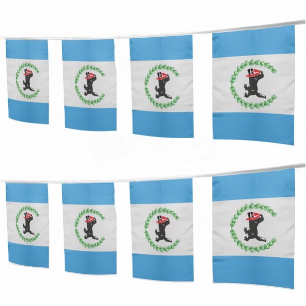 �rkutsk Oblast� Square String Flags