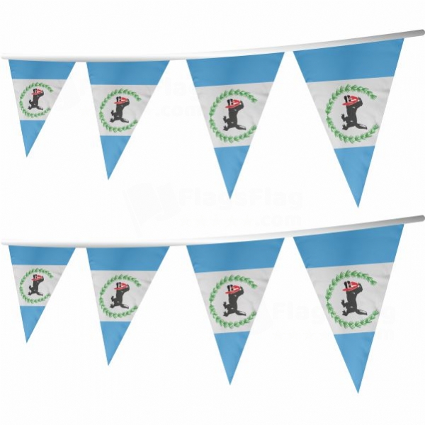 �rkutsk Oblast� Stringed Triangle Flag