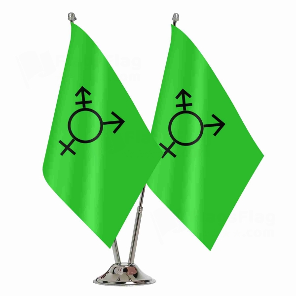 Israeli Transgender Binary Table Flag