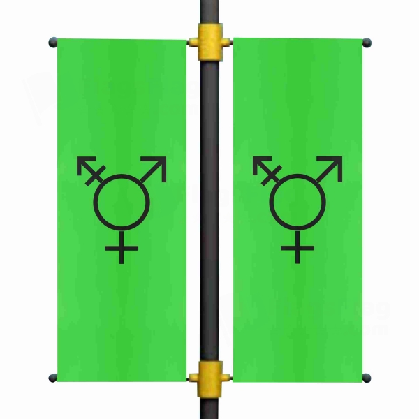 Israeli Transgender Blackout Flag