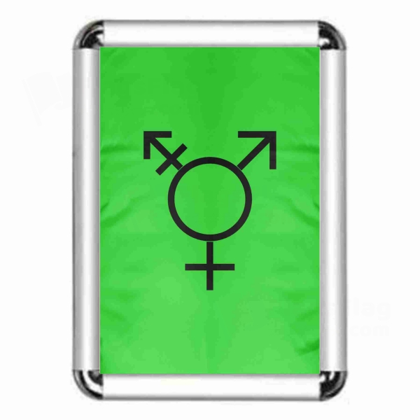 Israeli Transgender Framed Pictures