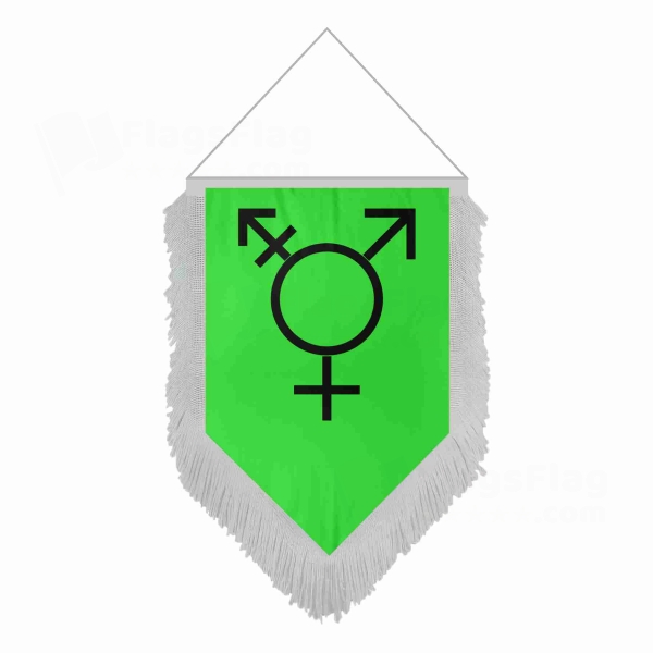 Israeli Transgender Pentagonal Flags
