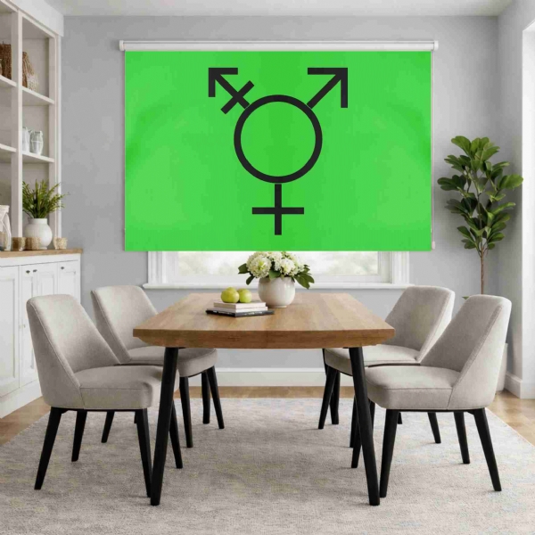 Israeli Transgender Roller Blinds