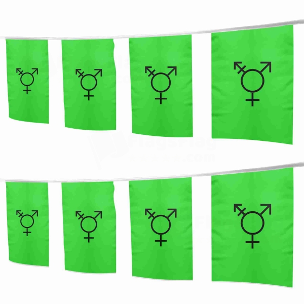 Israeli Transgender Square String Flags