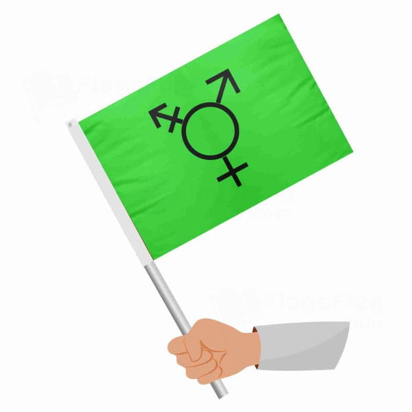 Israeli Transgender Stick Flag