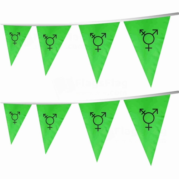 Israeli Transgender Stringed Triangle Flag