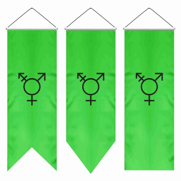 Israeli Transgender Swallowtail Flags