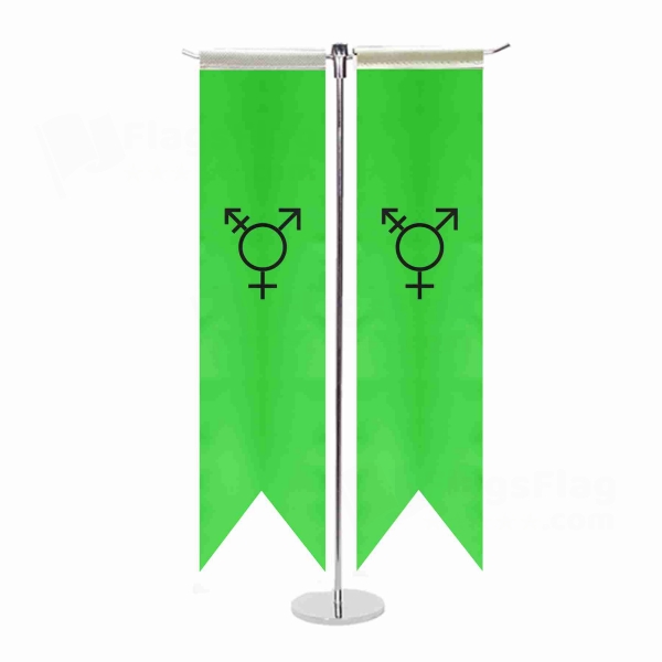 Israeli Transgender T Table Flag