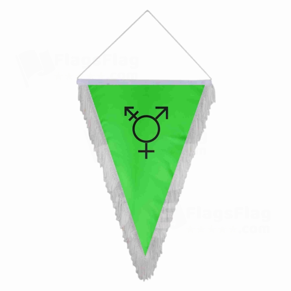 Israeli Transgender Triangle Fringed Streamers