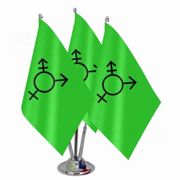 Israeli Transgender Triple Table Flag