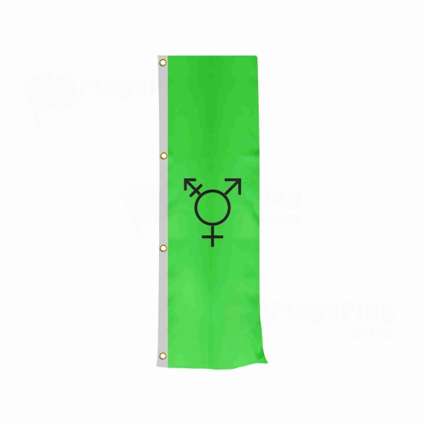 Israeli Transgender Vertically Raised Flags