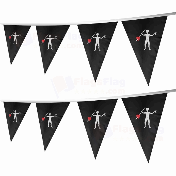 John Quelch Stringed Triangle Flag