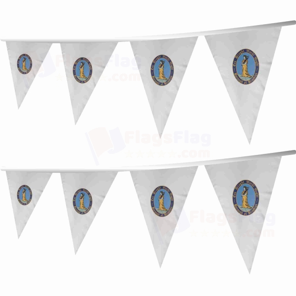 Kings County New York Stringed Triangle Flag