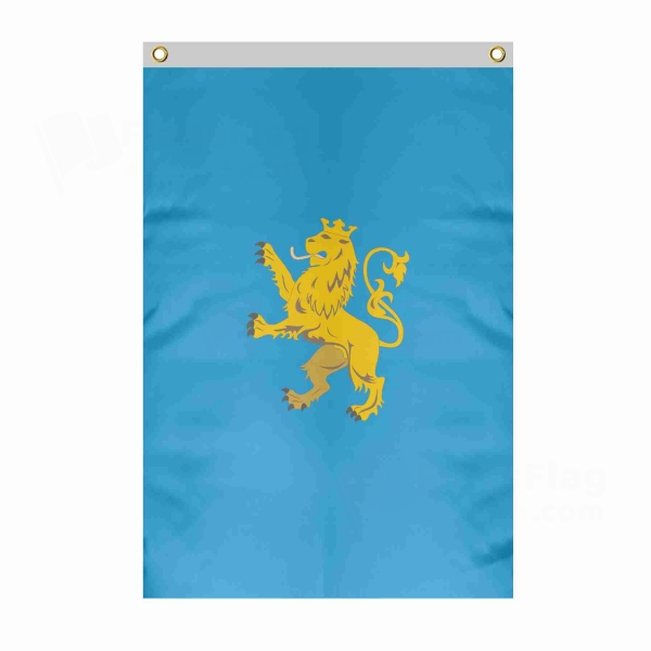 Lviv Oblast Large Size Flag Hanging on Building